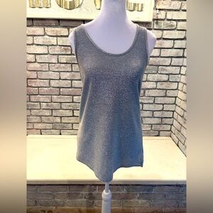 Silver sparkly top